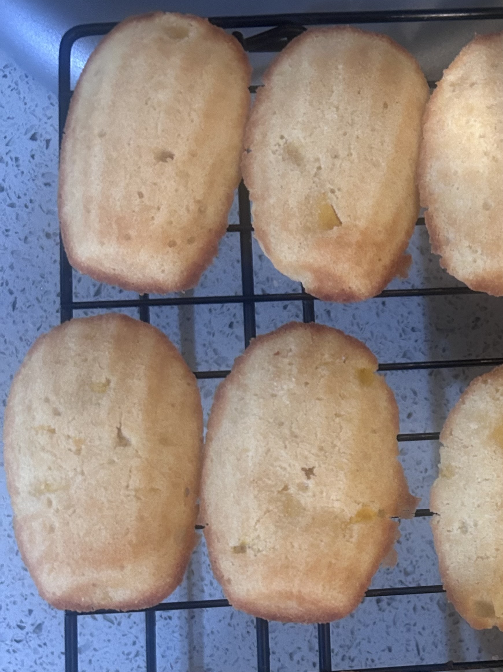 Madeleines (5-pack)