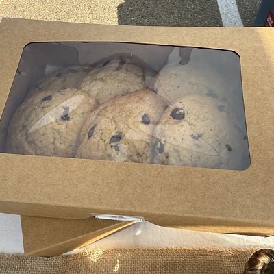 Sourdough Chocolate Chip Cookies 6 Pack