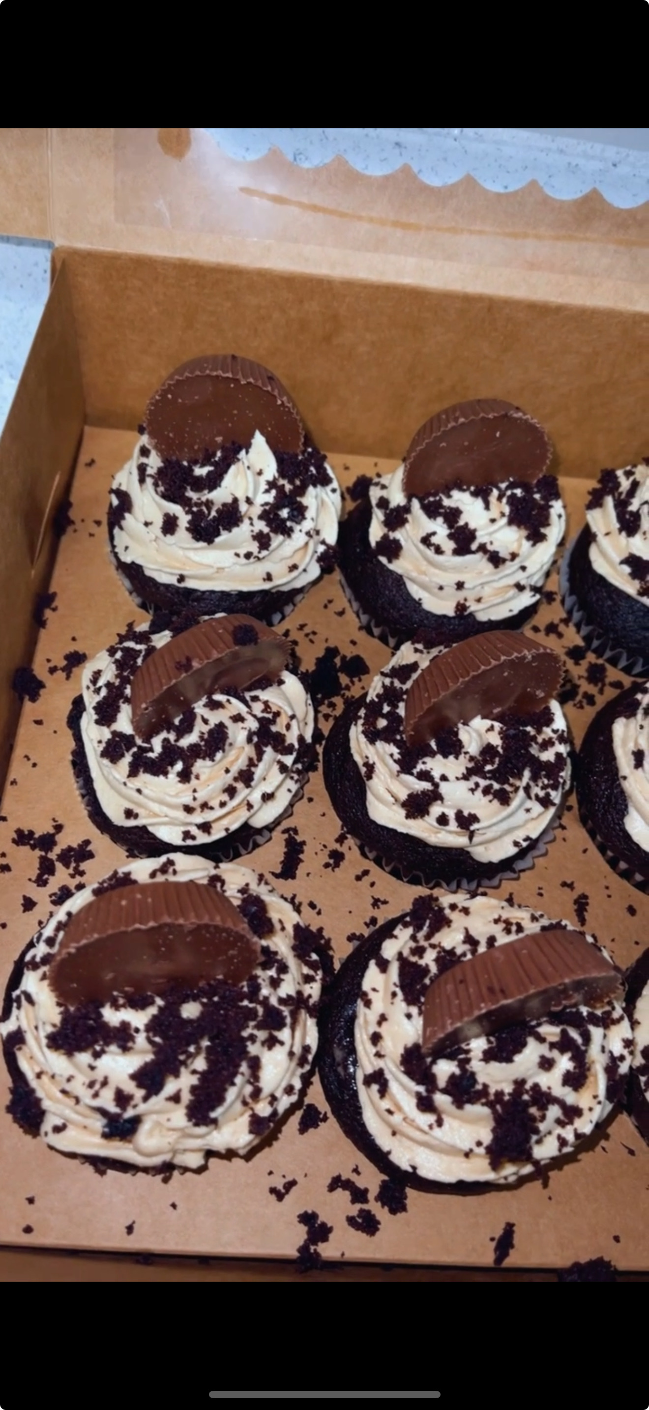 Cupcakes - 1 Dozen 