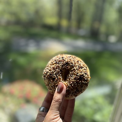 Organic Everything Seasoning Sourdough Bagels (4)