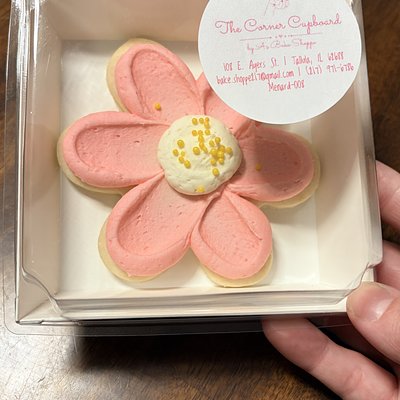 Decorated Sugar Cookies