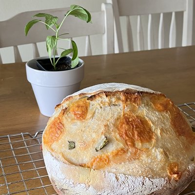 Cheddar Jalapeño Sourdough