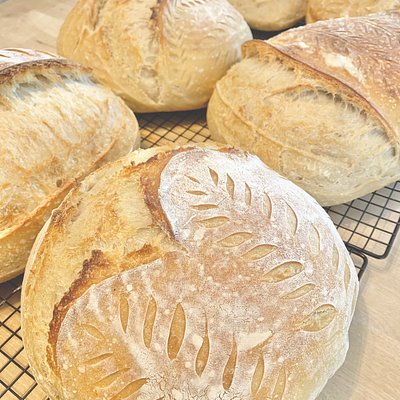 Rosemary Sourdough Loaf
