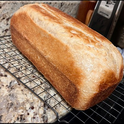 Sourdough Sandwhich Bread (9x5- Single Loaf) (13x5- Double Loaf)