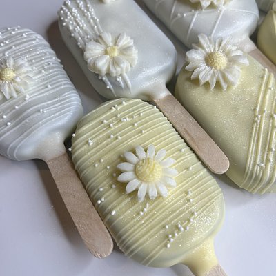 Classic Cakesicles -Large 