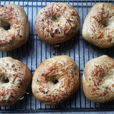 Flavored Sourdough Bagels 6pk - Single Flavor