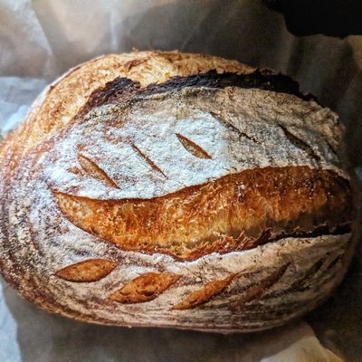 Classic Boule