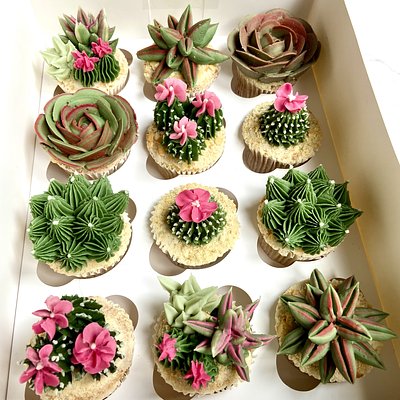 Box of Succulent Cupcakes (half dozen/a dozen)