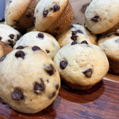 Chocolate Chip Sourdough Mini Muffins