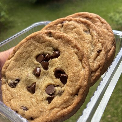 Gourmet Cookies(6)