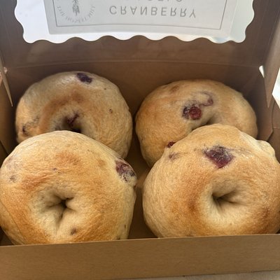 Sourdough Bagels-Cranberry(4)