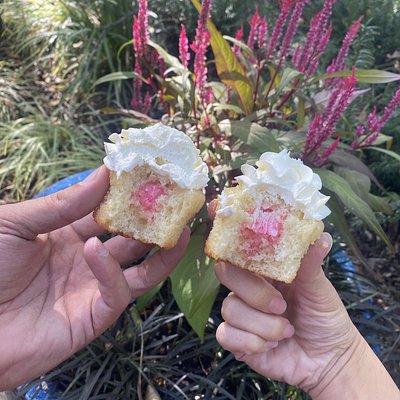 Gender Reveal Cupcakes - Basic