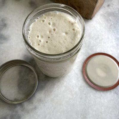 Active Sourdough Starter 