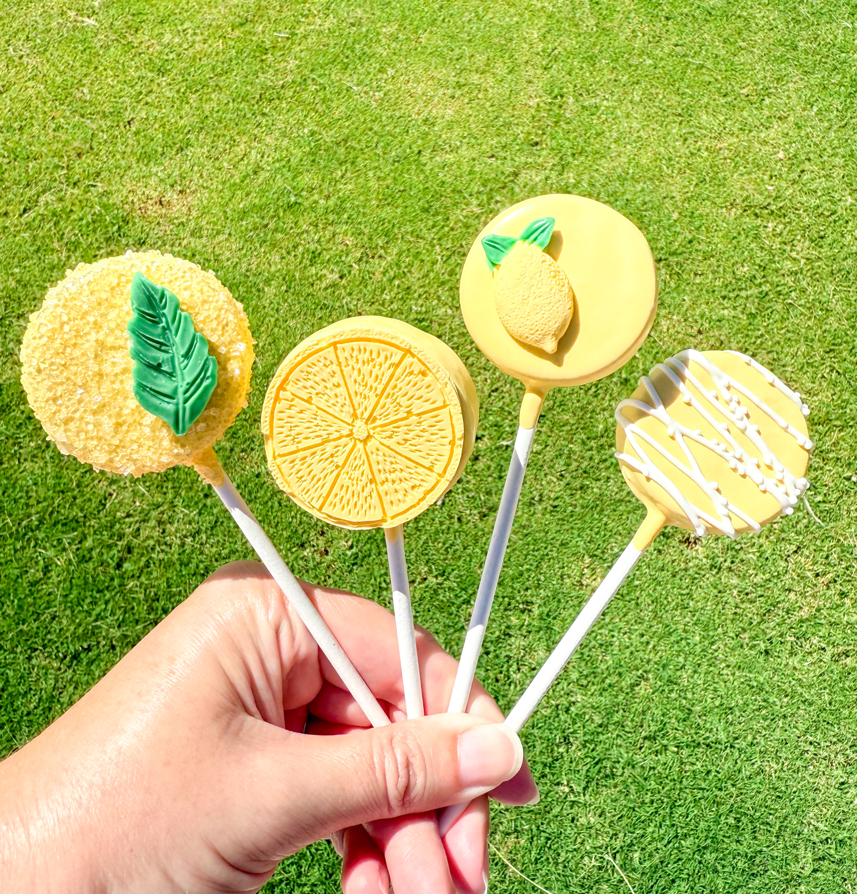 Disc & Shape Cake Pops