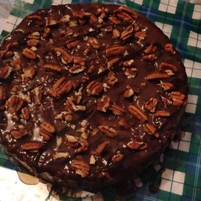 Turtle Cheesecake 