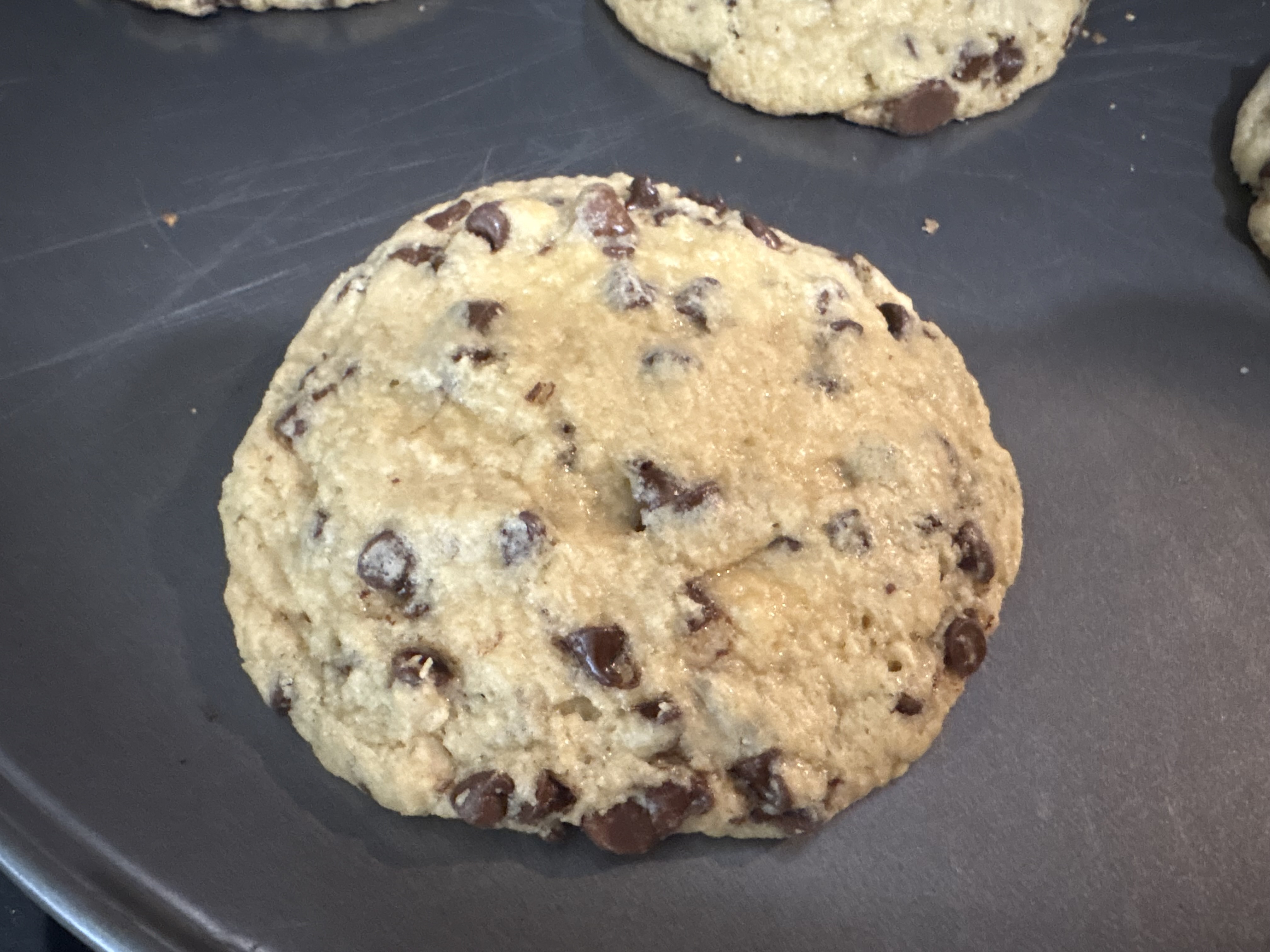 Chocolate Chip Cookies (giant)
