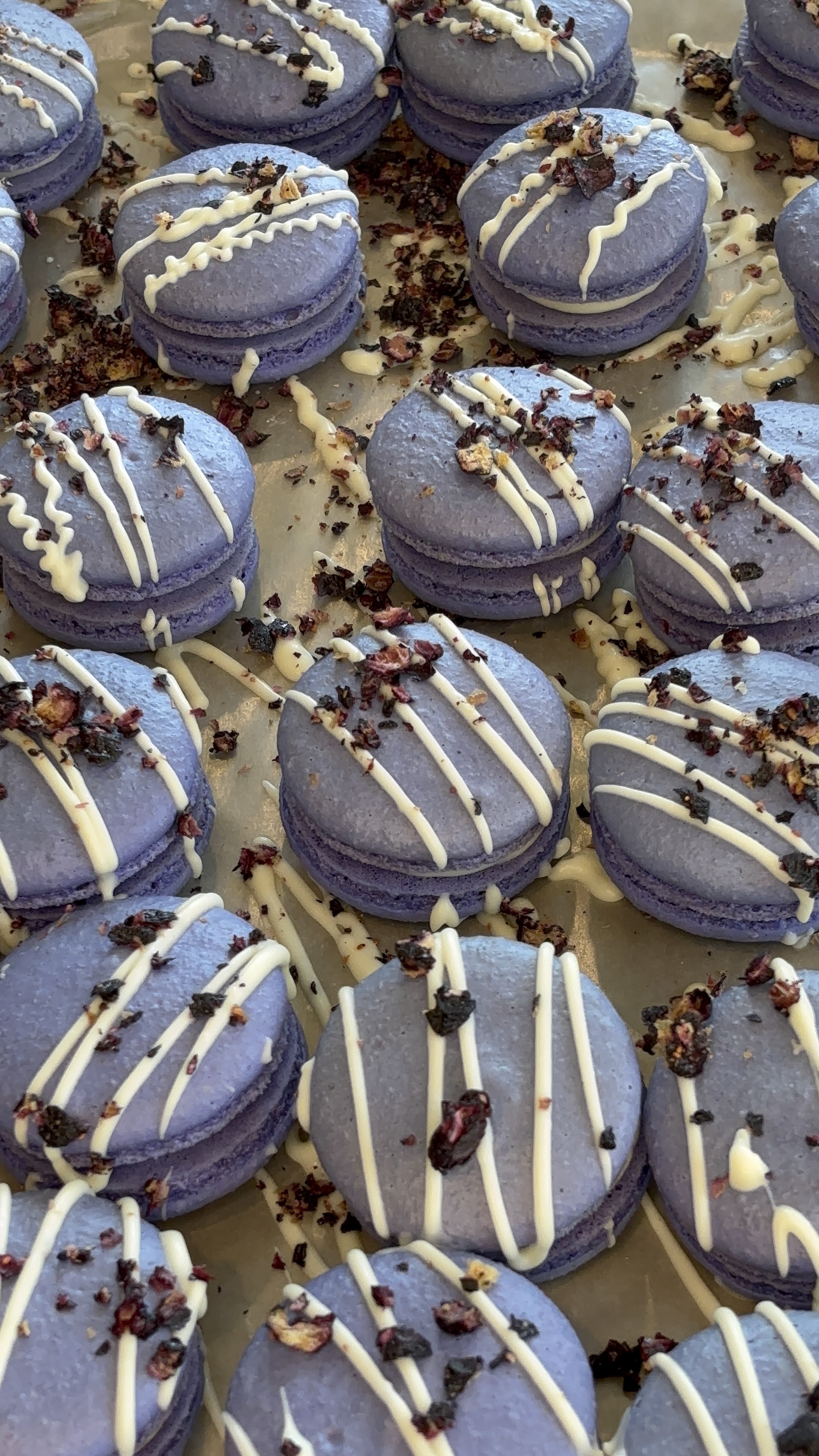 Lemon Blueberry Macarons