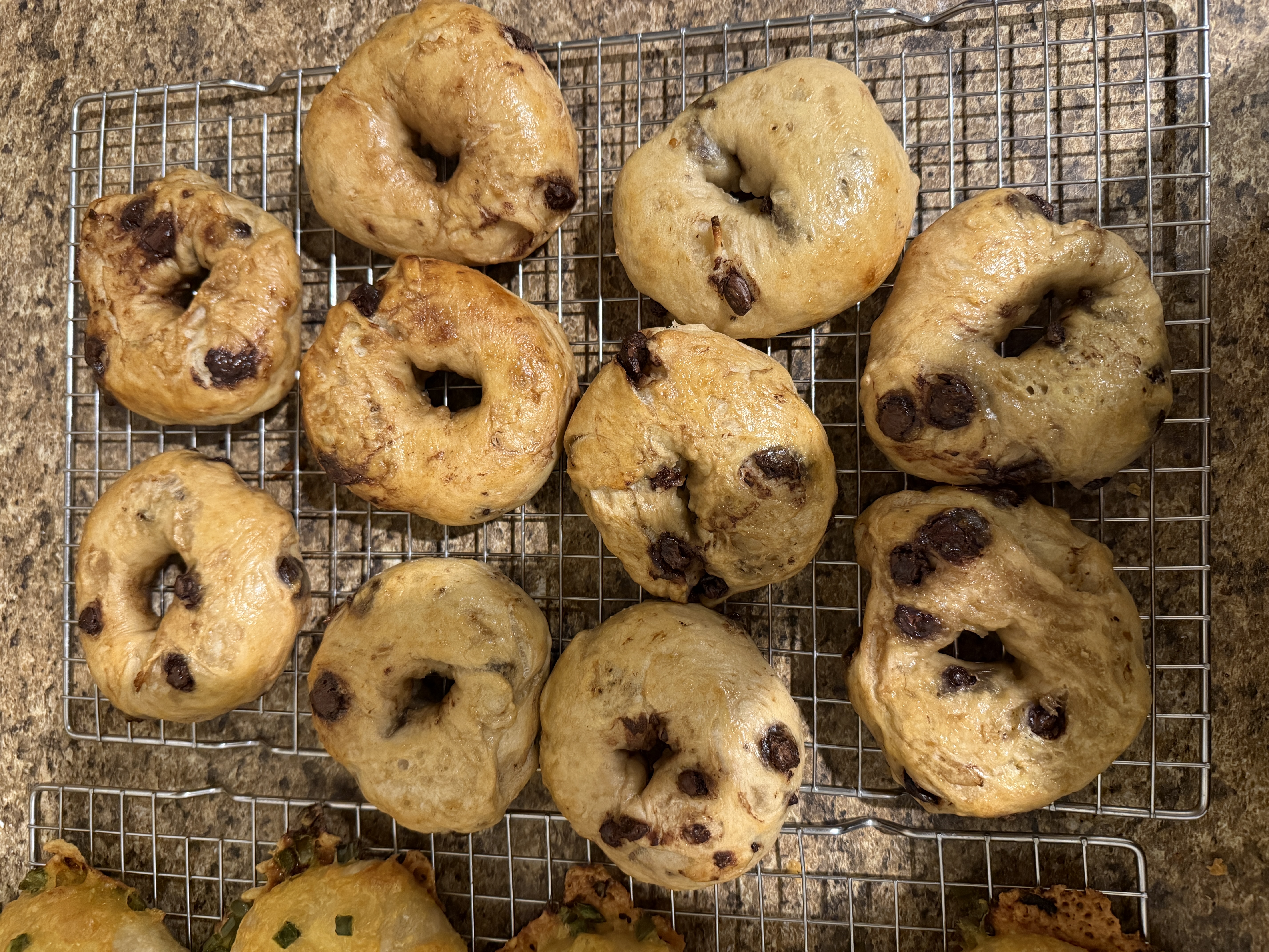 Chocolate Chip Sourdough Bagels