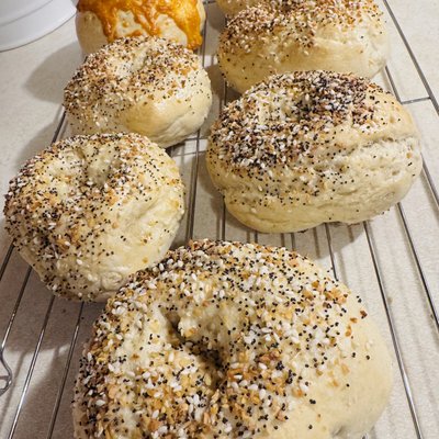 Fresh Bakes Bagels