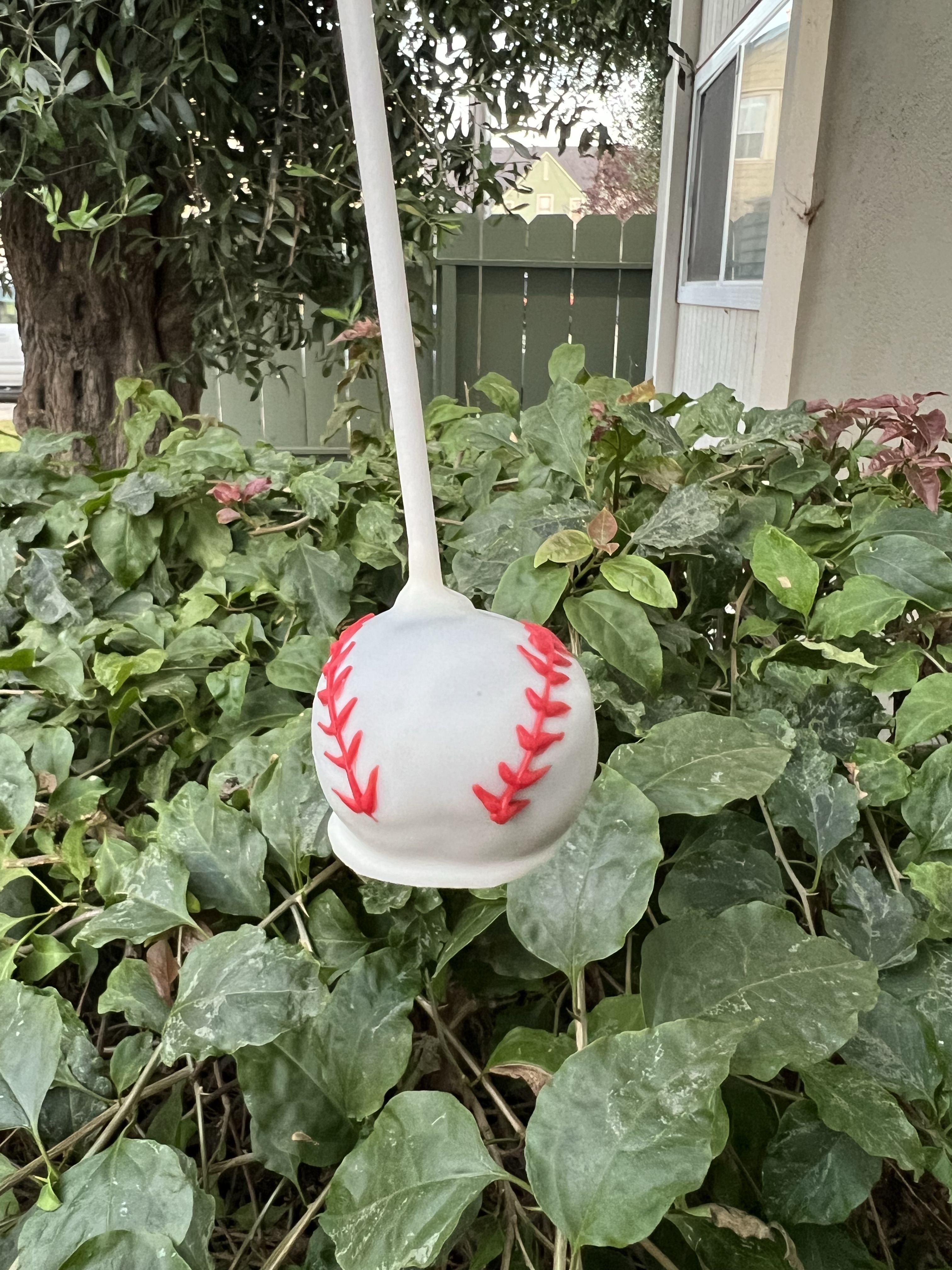 Cake Pops