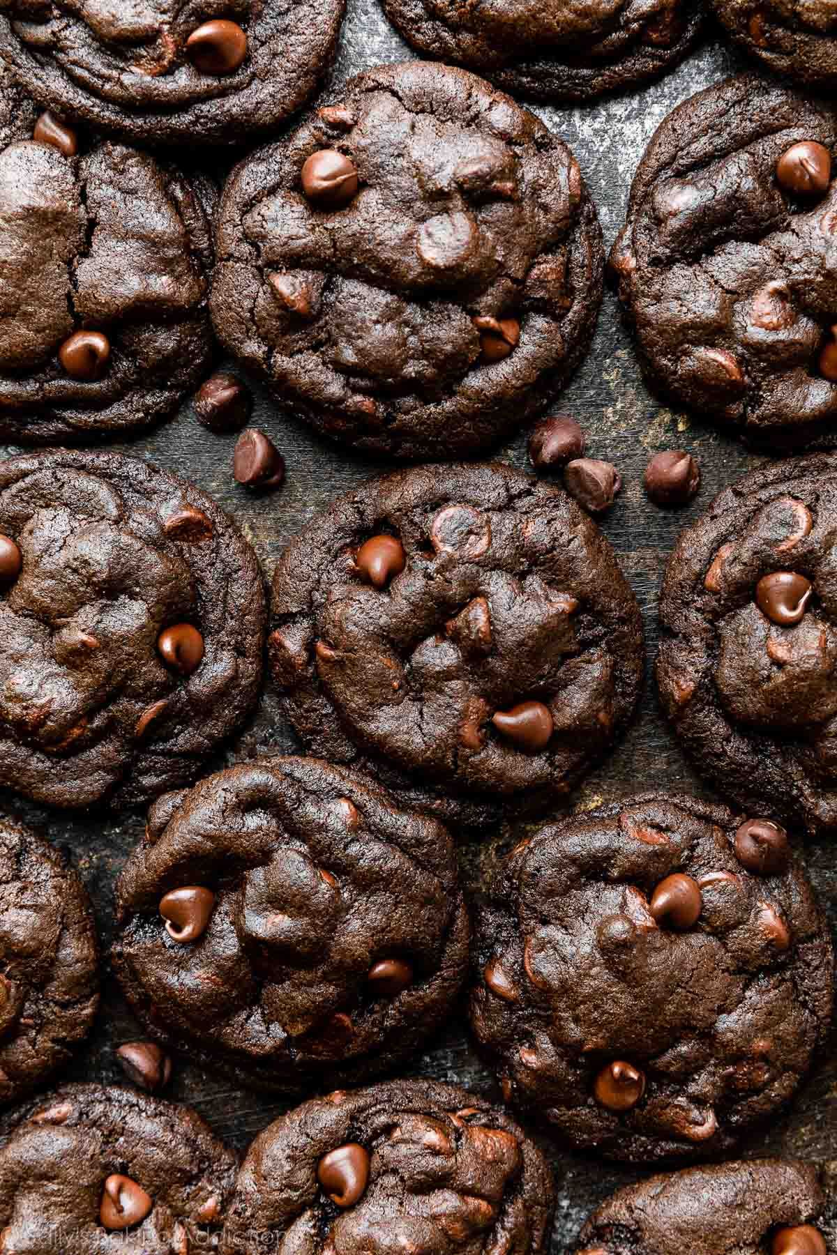 Double Chocolate Chip