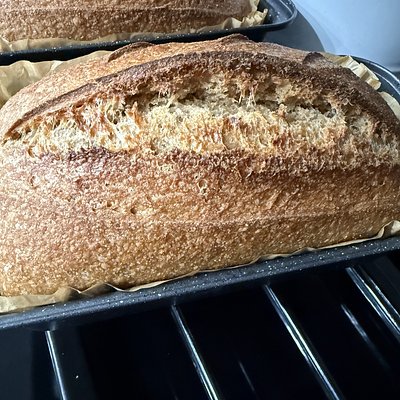 Heritage Hen Ancient Grain Sourdough 