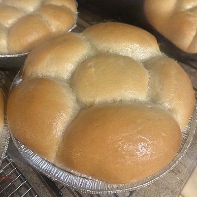 Homemade Yeast Rolls 