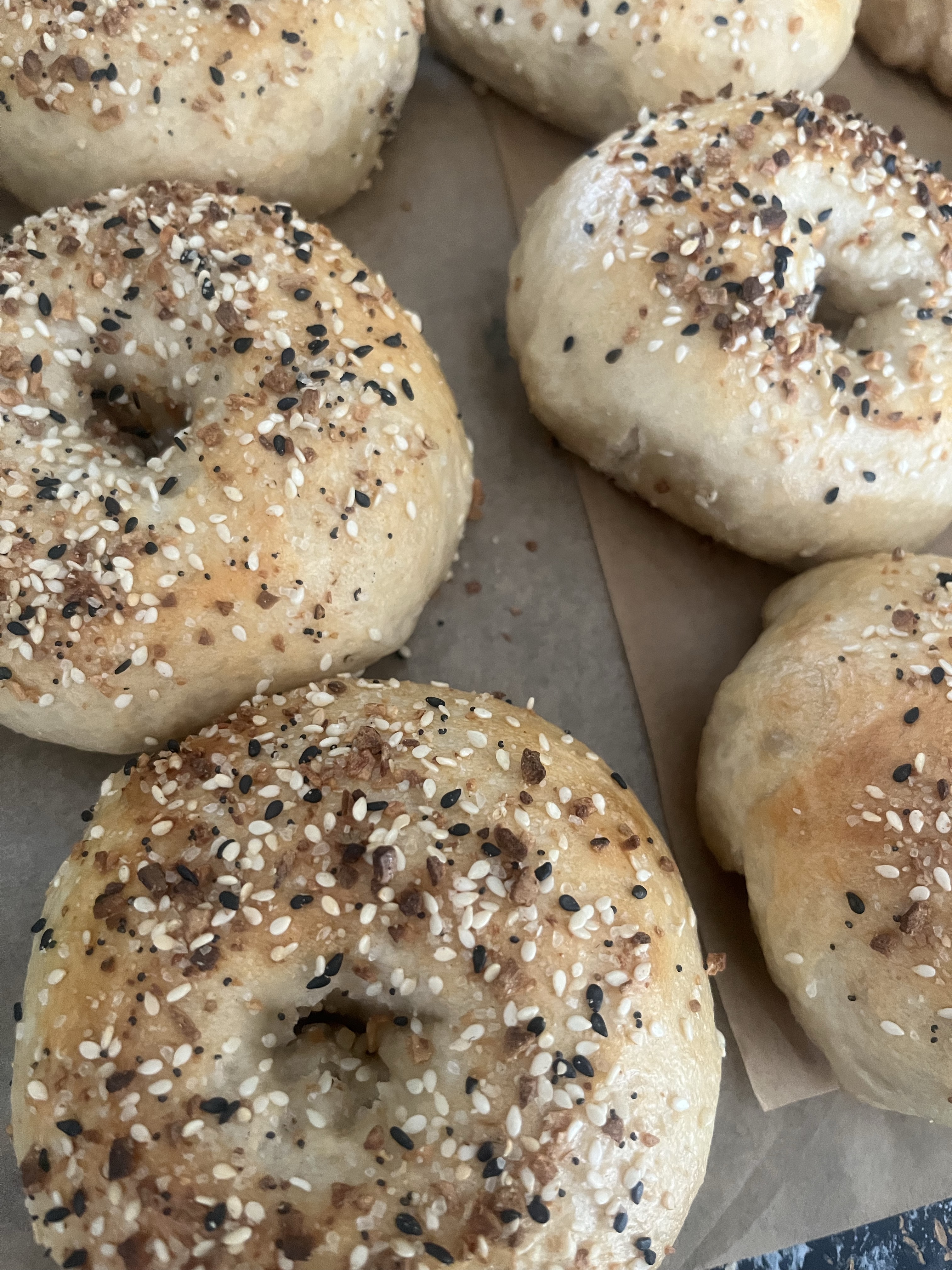 Italian Garlic Sourdough Bagels (6)
