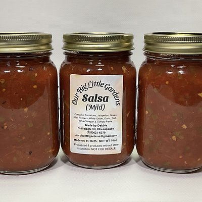 Salsa 16oz