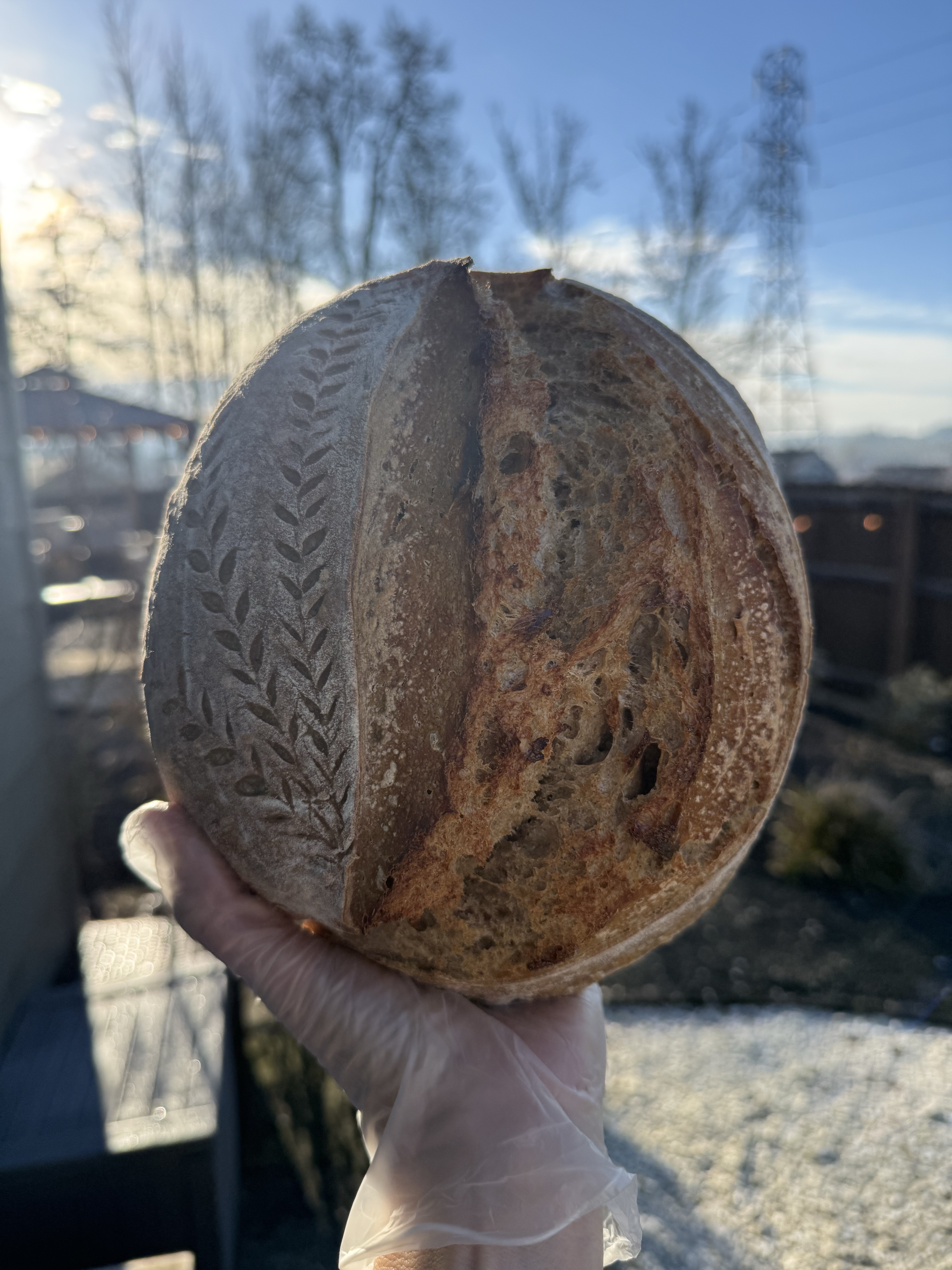 Chai Spice Sourdough 