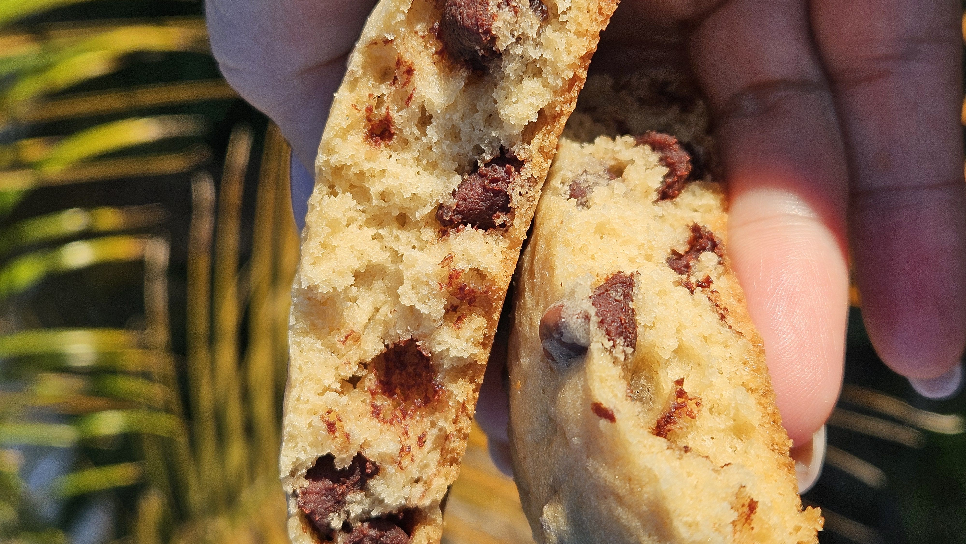 Sourdough Chocolate Chips Cookies 