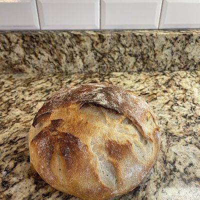 Sourdough Artisan Loaf