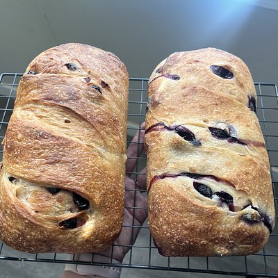 Sourdough sandwich Inclusion loaf 