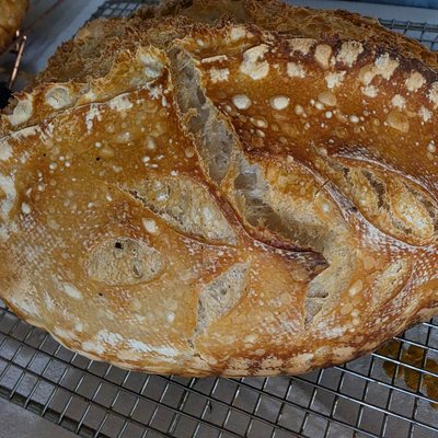 🍎🥖 Apple Butter Pecab Sourdough