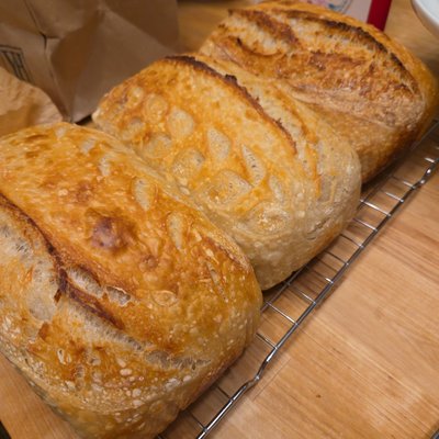 Classic Sourdough Bread 