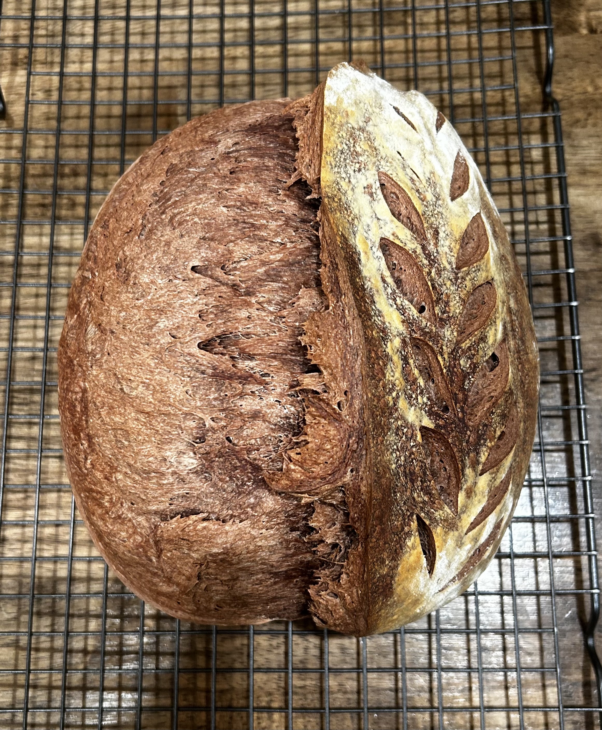 Double Chocolate Sourdough 