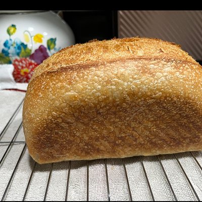 Sourdough Sandwich Loaf