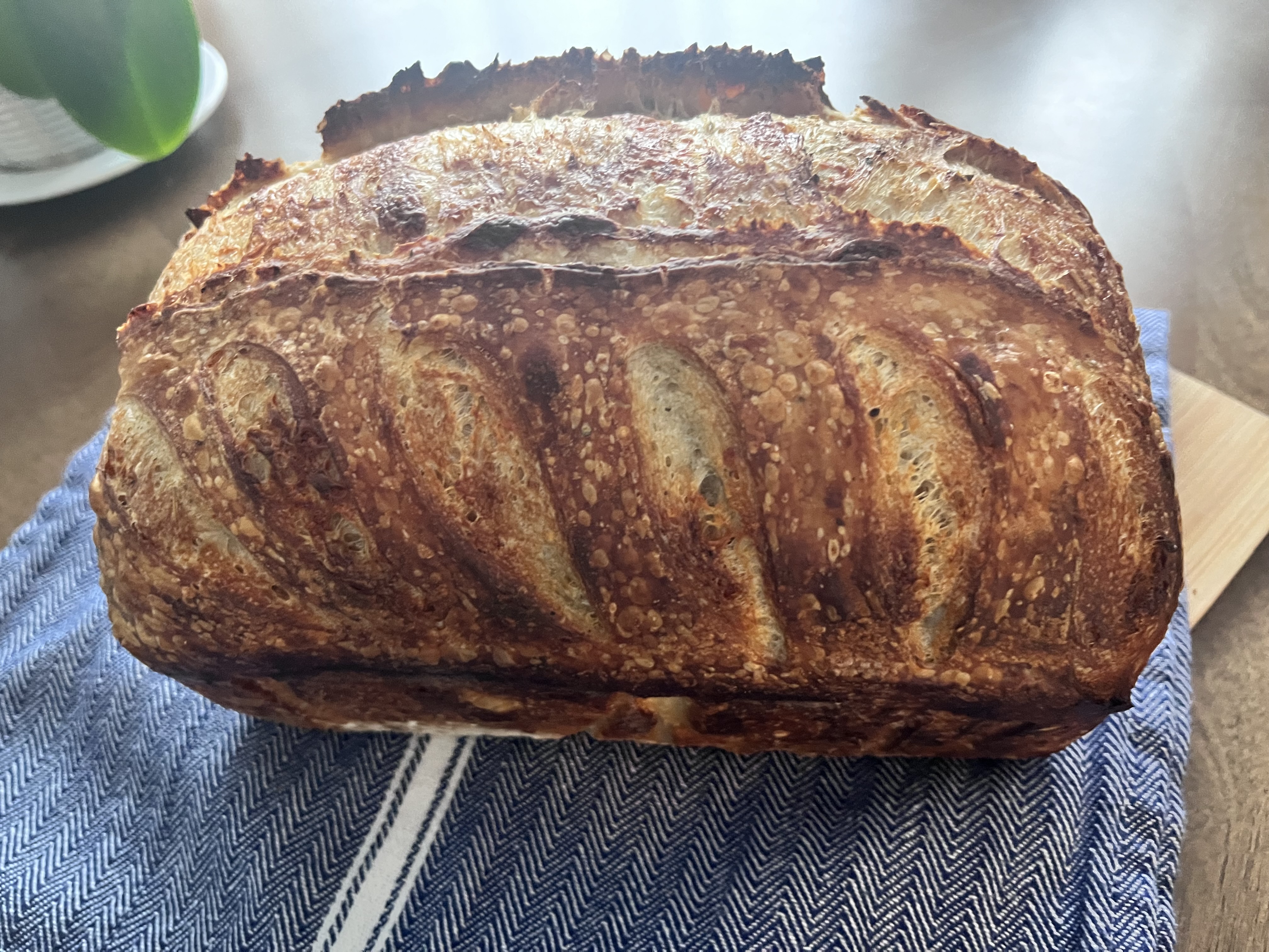 Classic Sourdough Bread 