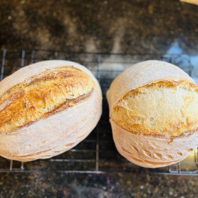 Sourdough Bread