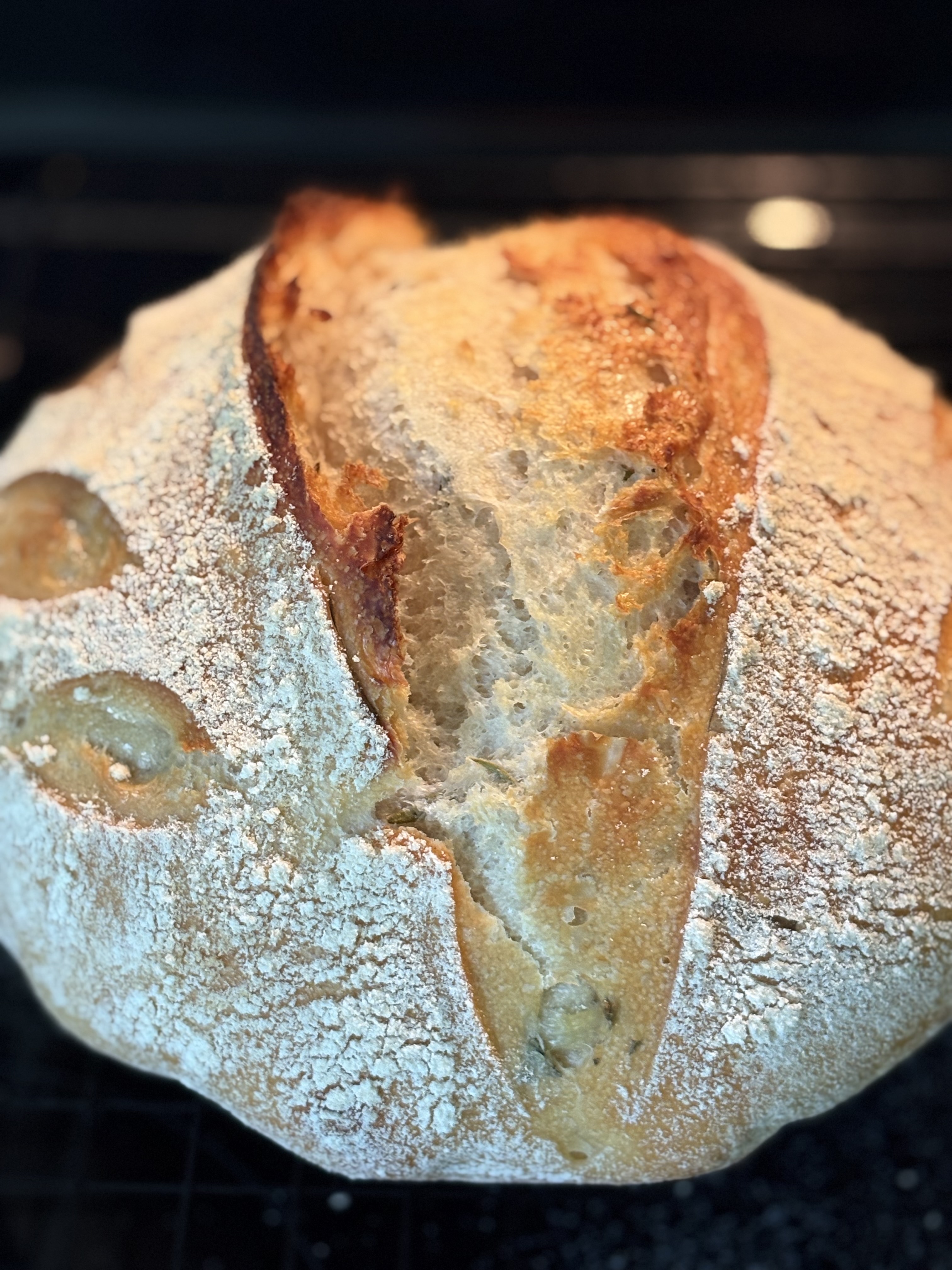 Organic Plain Sourdough 