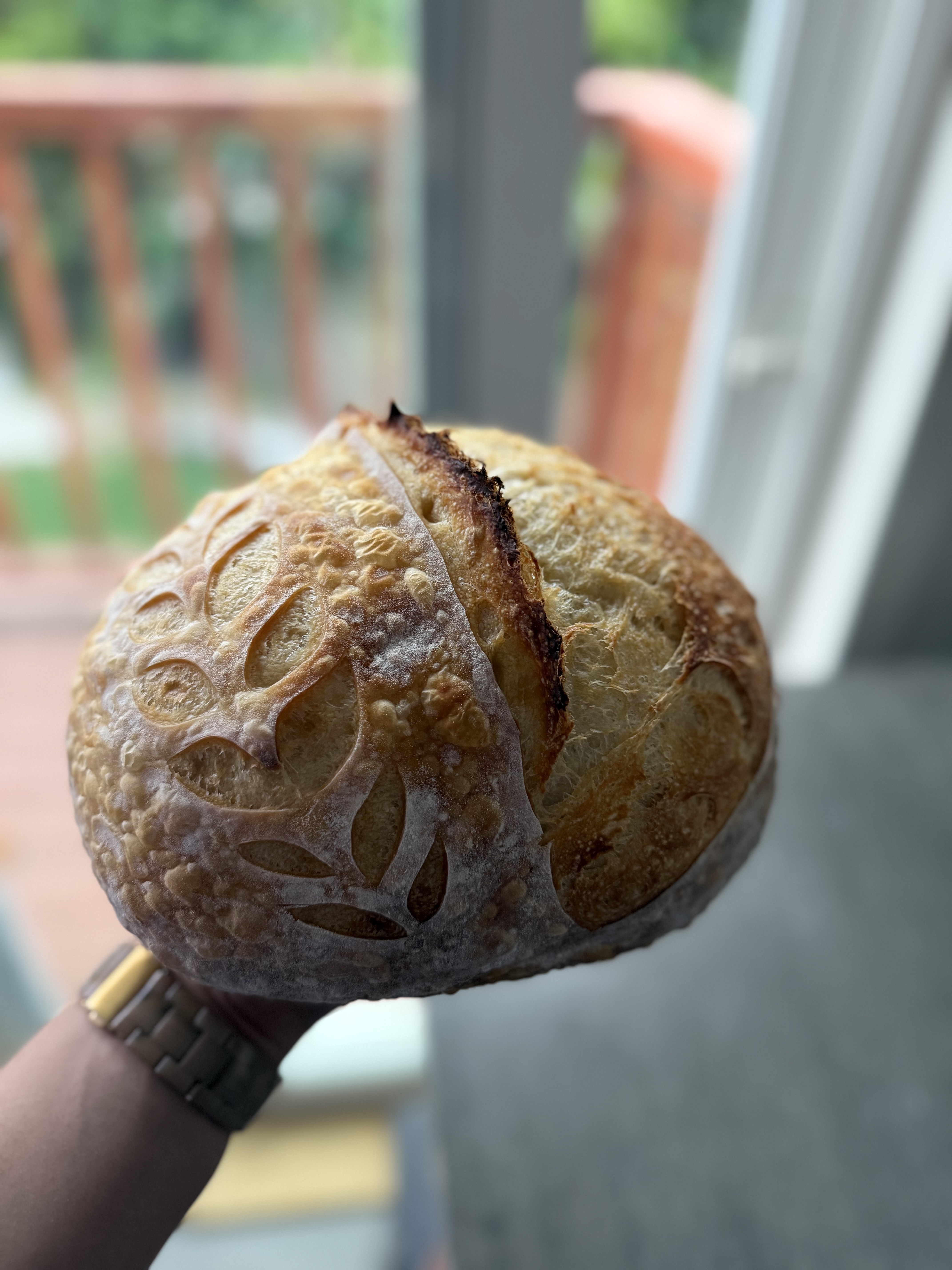 Artisan Sourdough Loaf