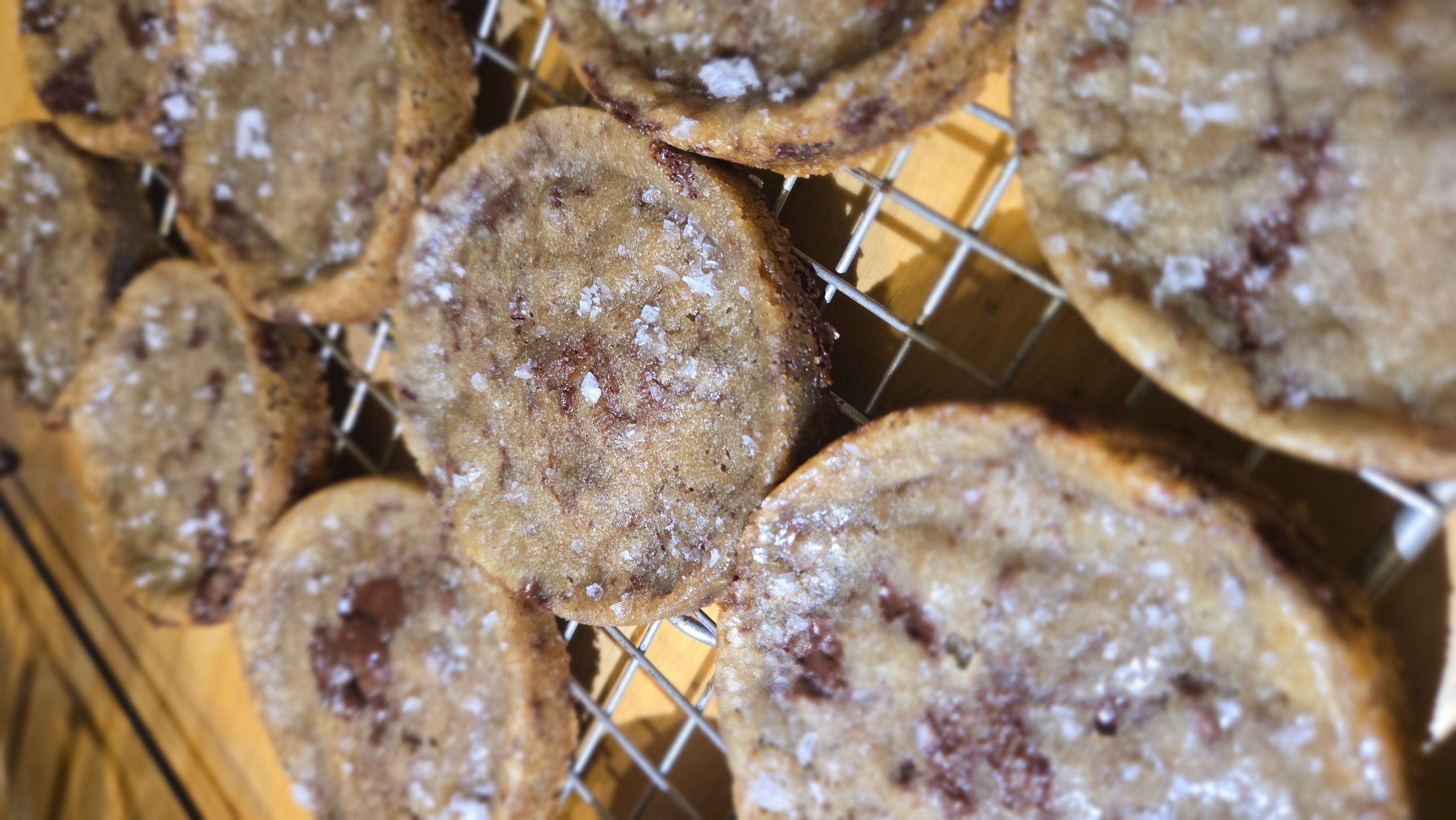 Bold Bite Choco Chip