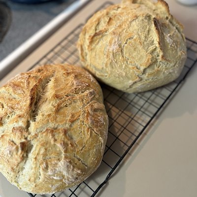 Plain Sourdough Round Loaf
