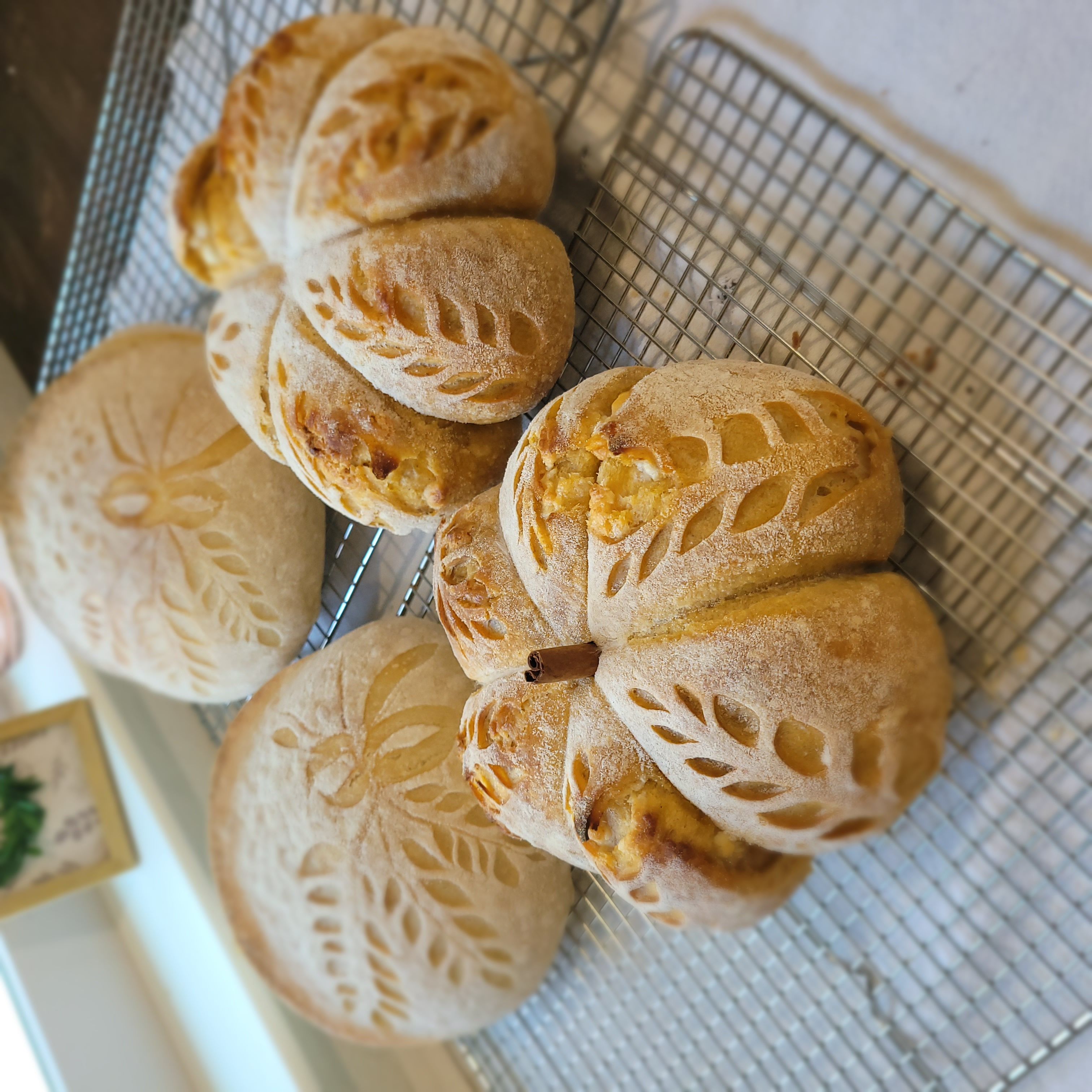 Pumpkin White Chocolate Chip Sourdough Loaf (Seasonal Special)