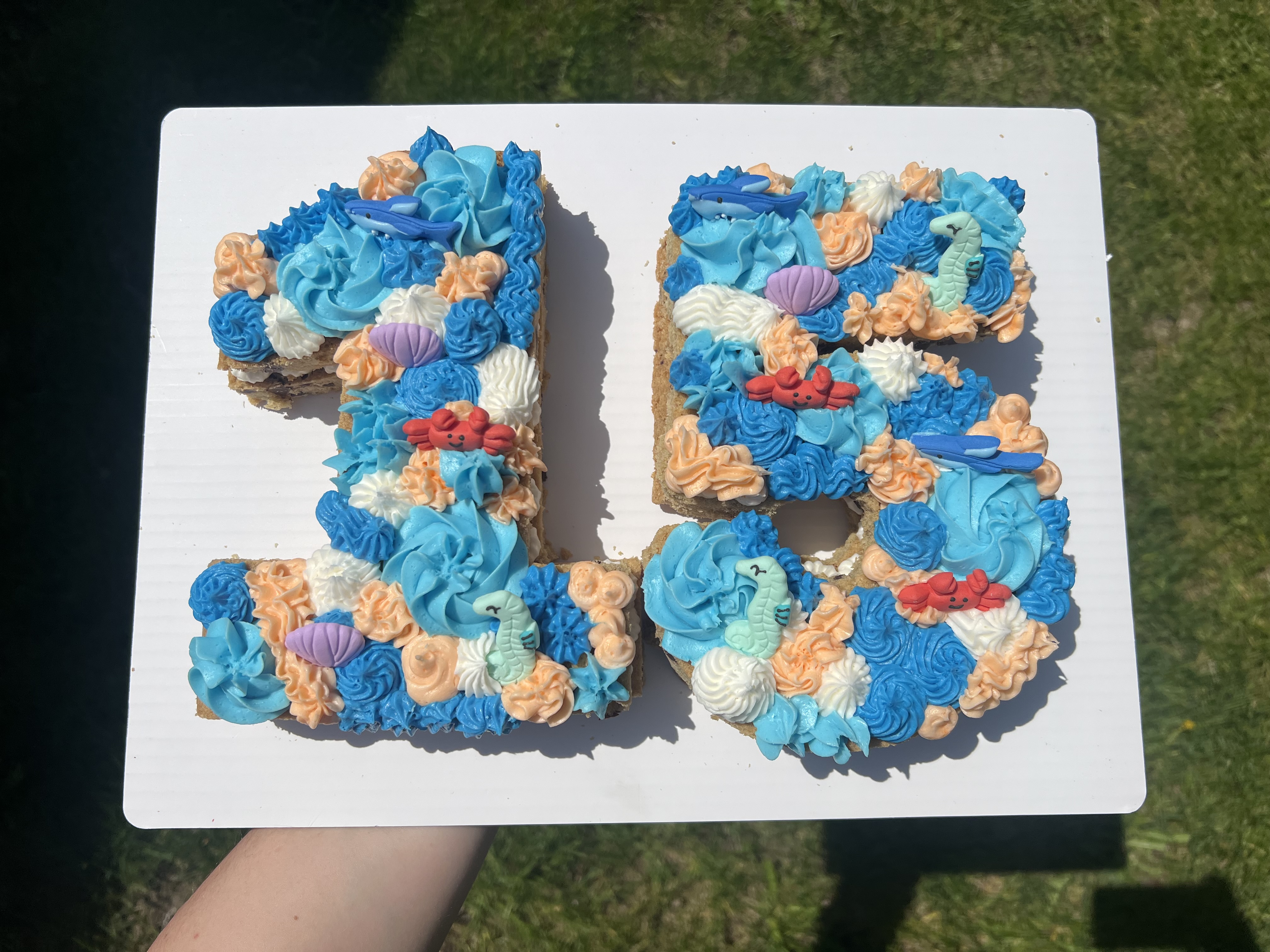 2 Digit Cookie Cake