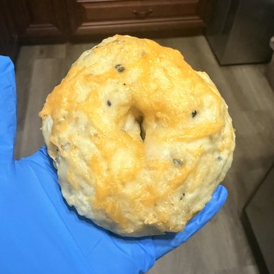Jalapeño Cheddar Bagel