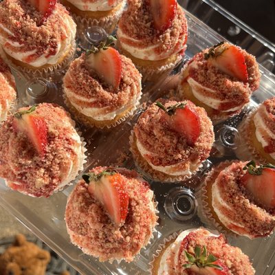 Gourmet Cupcakes