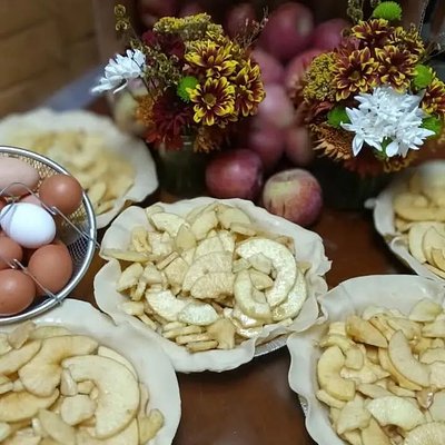 Apple Cinnamon Holiday Pie 
