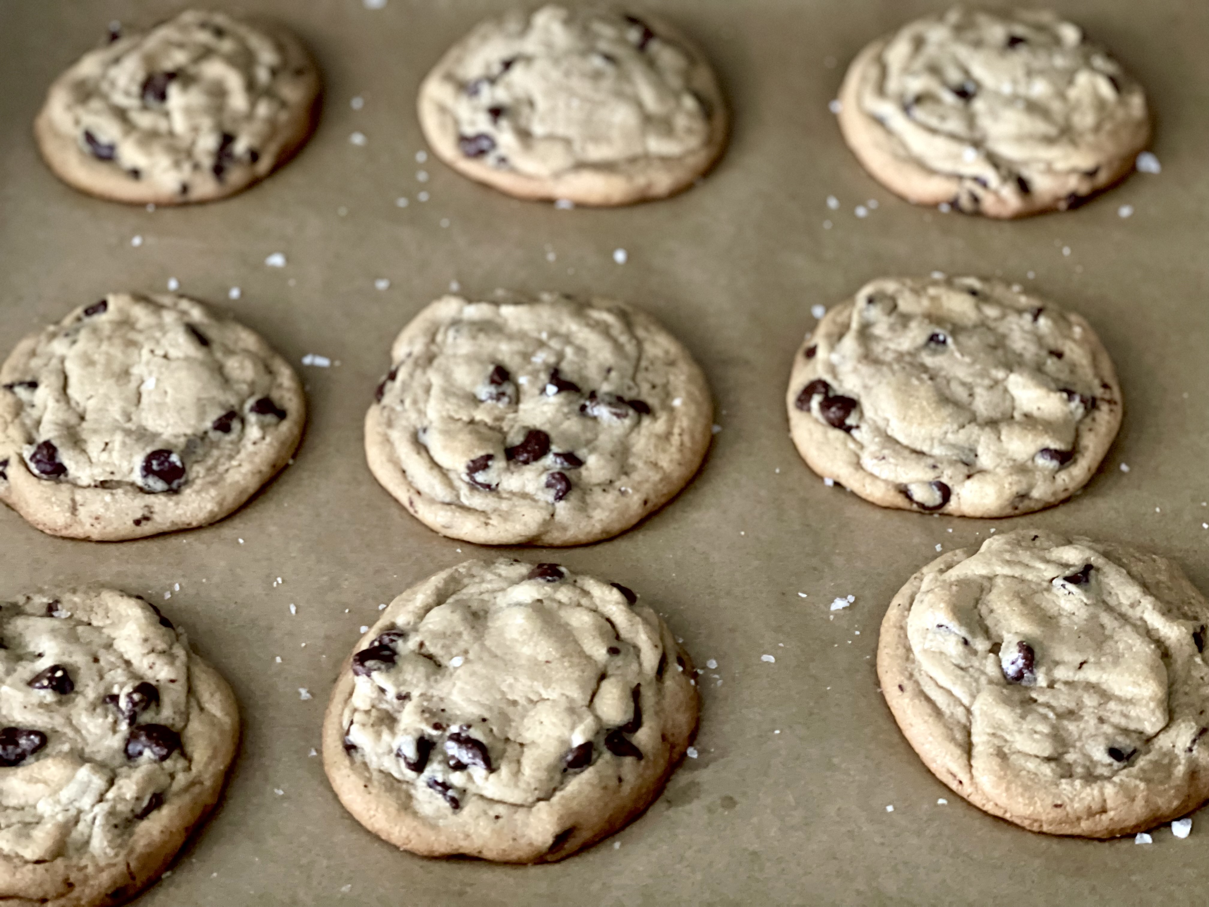 Chocolate Chip Cookies