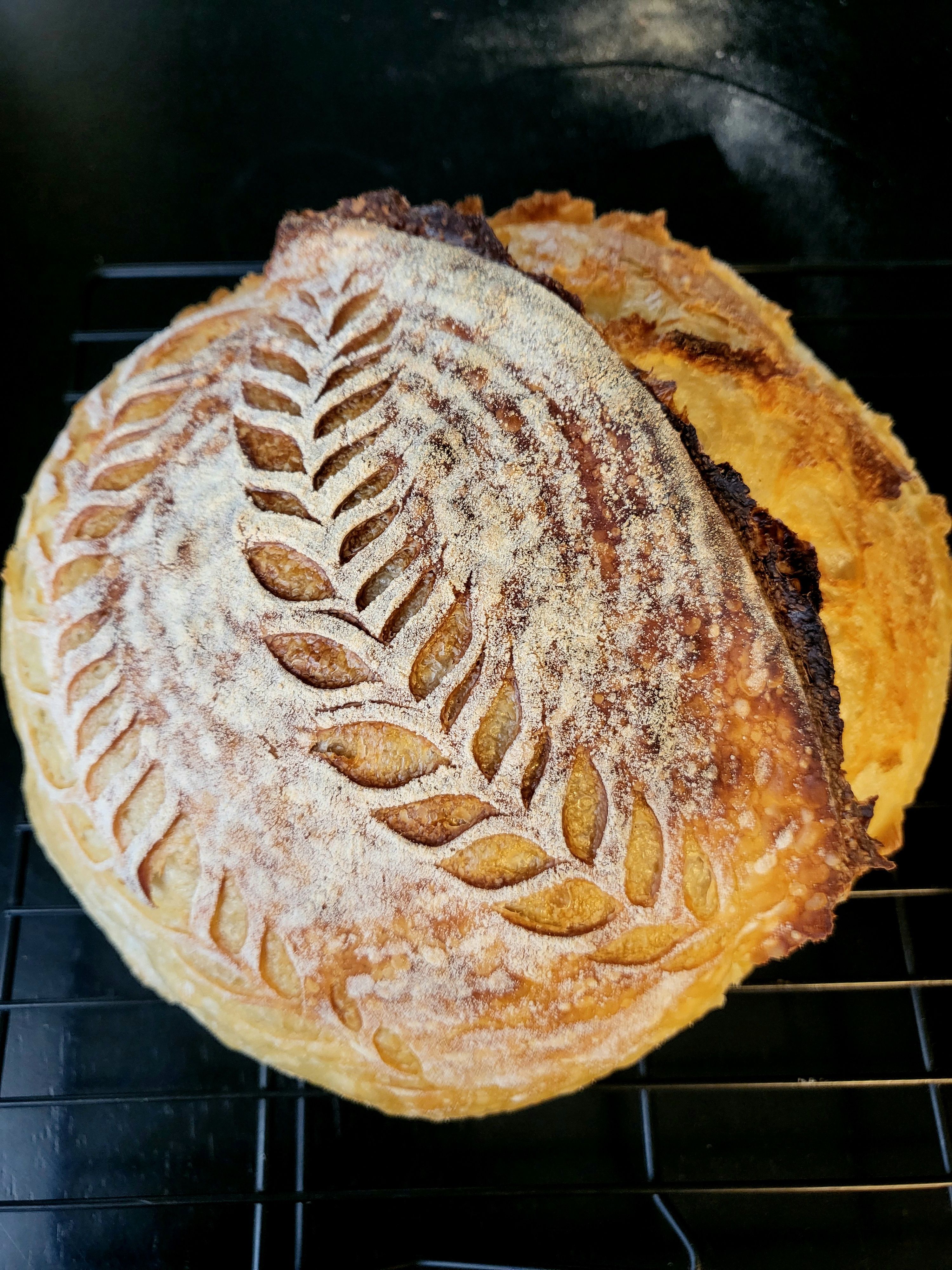 Sourdough Boule 